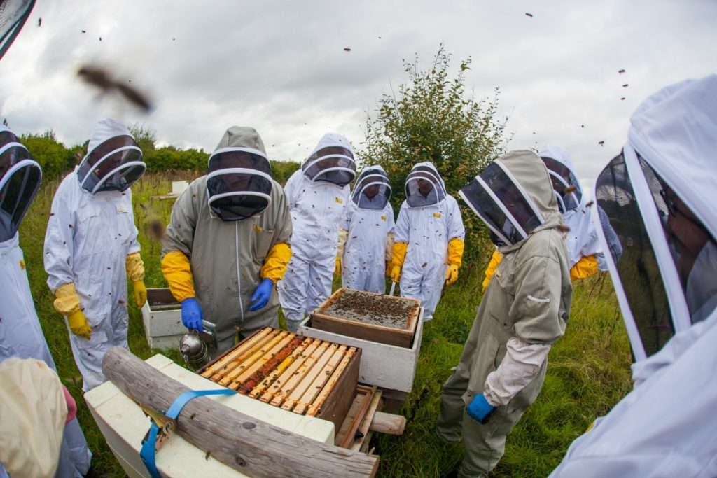 Flintshire Beekeepers Association