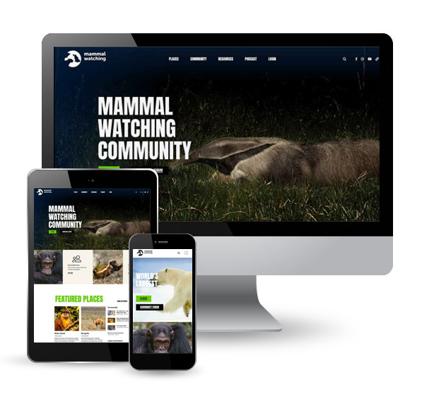 Mammal Watching screens
