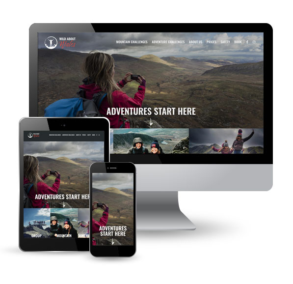Wild About Wales website screens